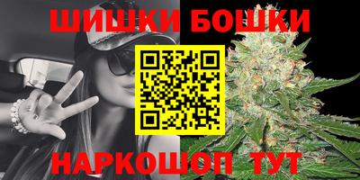 молекула духа Шелехов