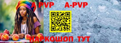 молекула духа Шелехов